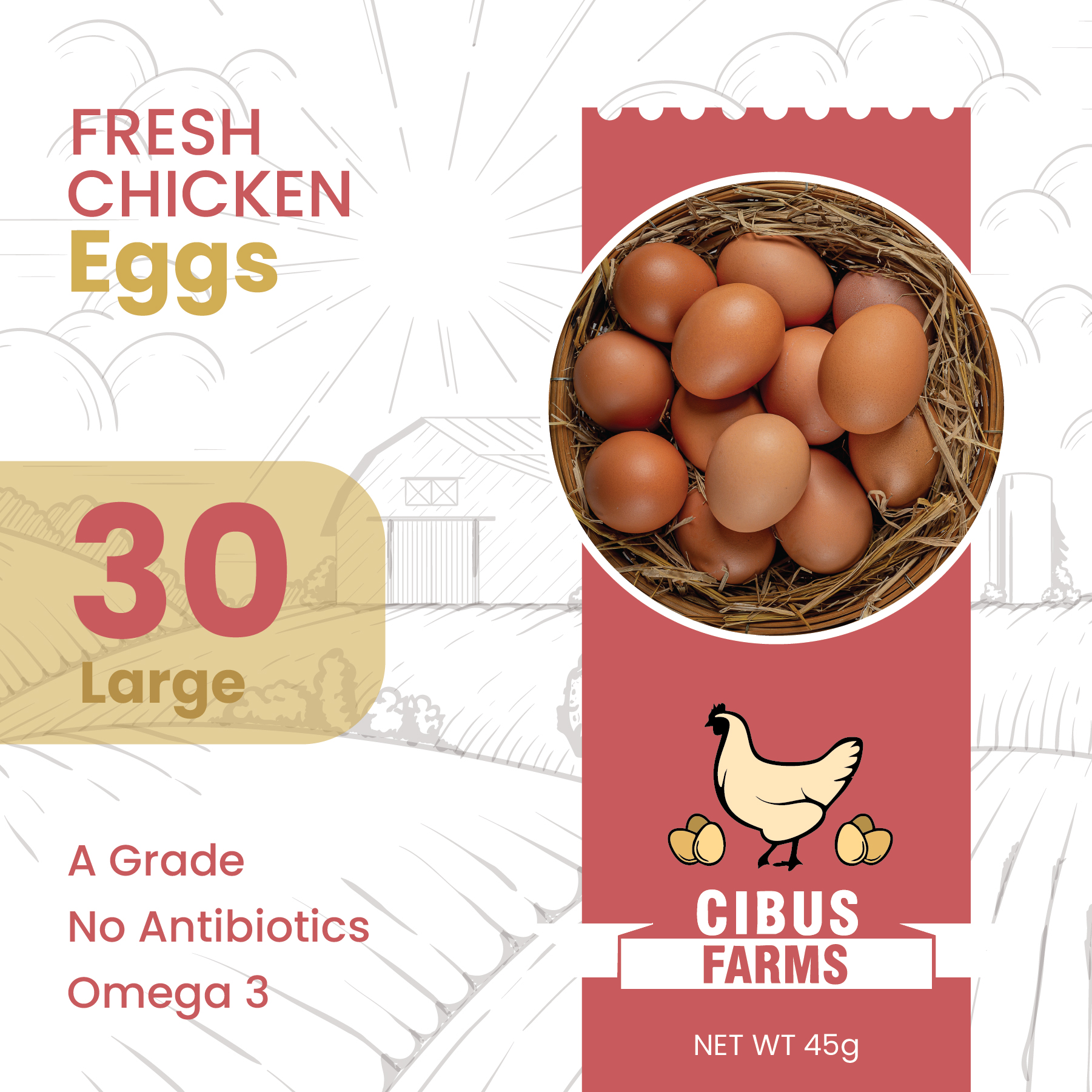 Cibus Farms — Fresh Chicken Eggs
